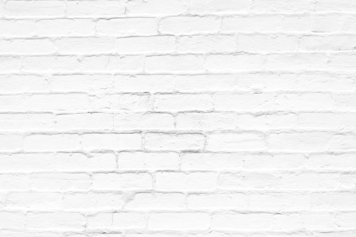 white+wall Denim Project